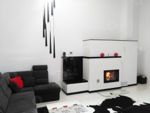 Каминная топка Romotop Dynamic 2g 66.50.01 главное фото